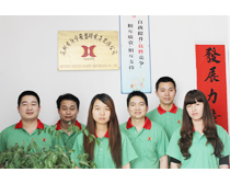 新宇發(fā)營銷團隊