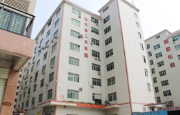 新宇發的卡片U盤外殼質量真的很不錯，供貨及時